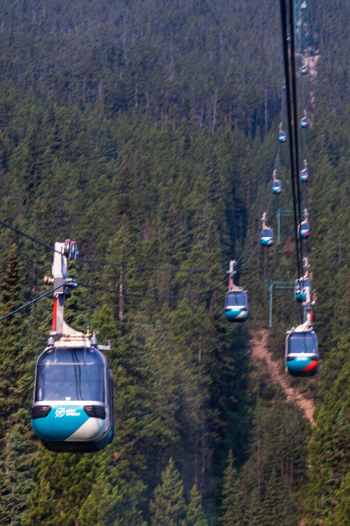 Gondola cars traveling above the forest in the Canadian Rockies