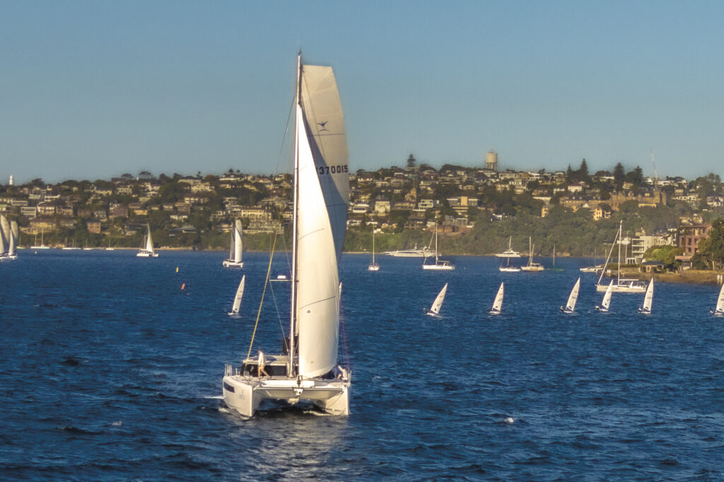 Sailboats on Sydney Harbour